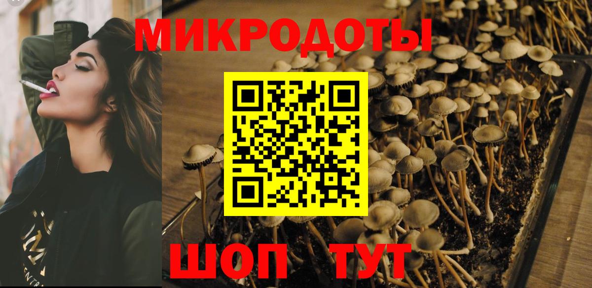 Псилоцибиновые грибы мицелий Зерноград