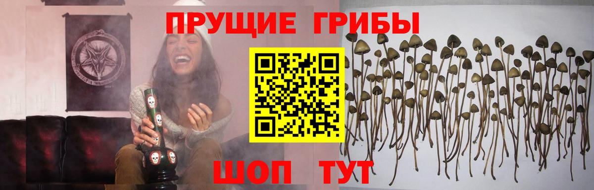 Меф Зерноград